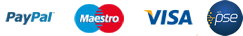 Payment icon