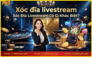 Dealer chuyên nghiệp thực hiện xóc đĩa livestream với hệ thống camera sắc nét