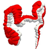 Fly-over Method Provides Better Colonoscopy Visualization