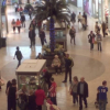 Mall Dataset