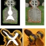 Power watersheds: a new image segmentation framework extending graph cuts, random walker and optimal spanning forest